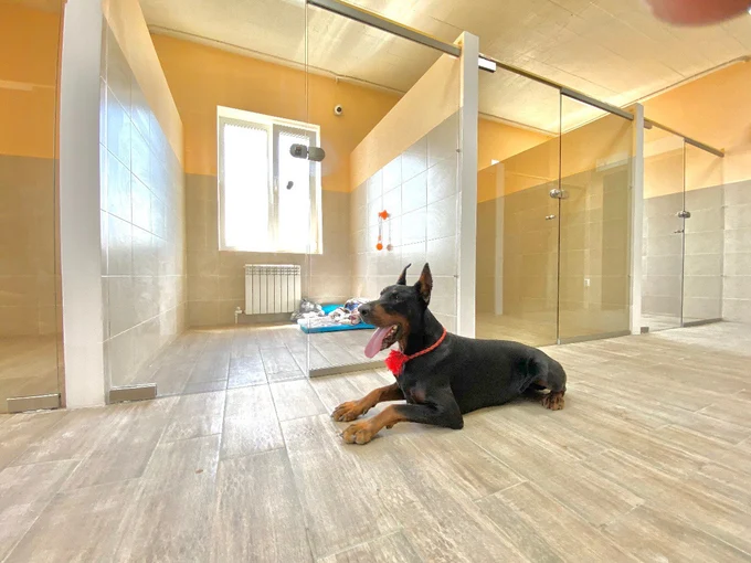 Спокойствие