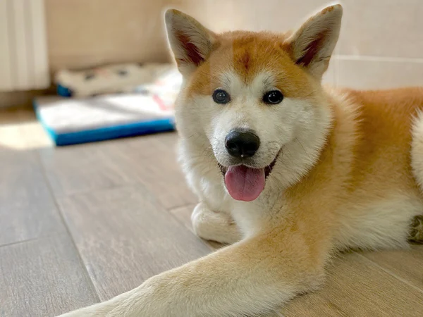 Спокойствие